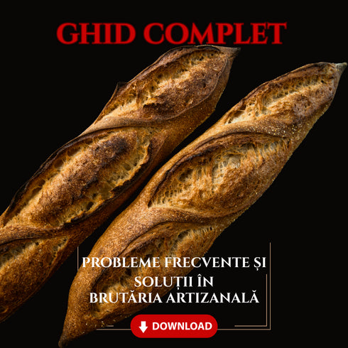 Ghid - Probleme Frecvente și Soluții în Brutăria Artizanală